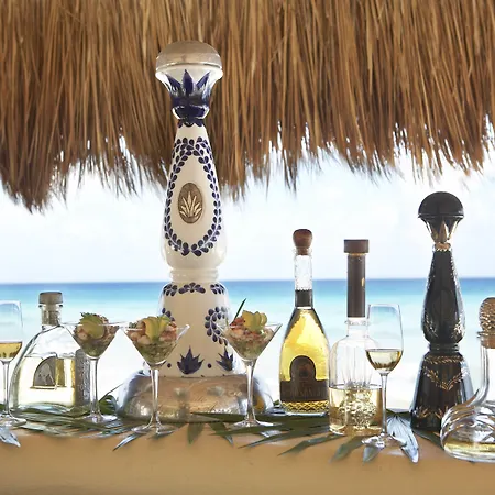 Viceroy Riviera Maya, A Luxury Villa Resort - Adults Only-2